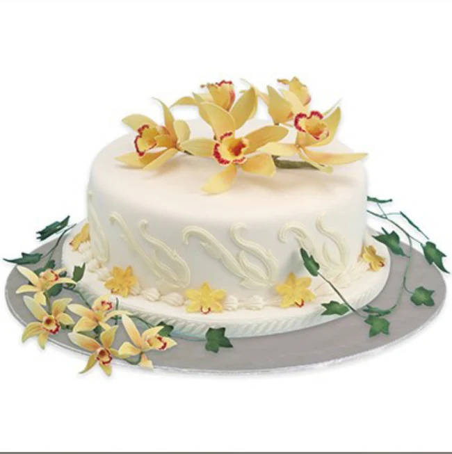 6 Inch PME Round Cake Card - Image 3