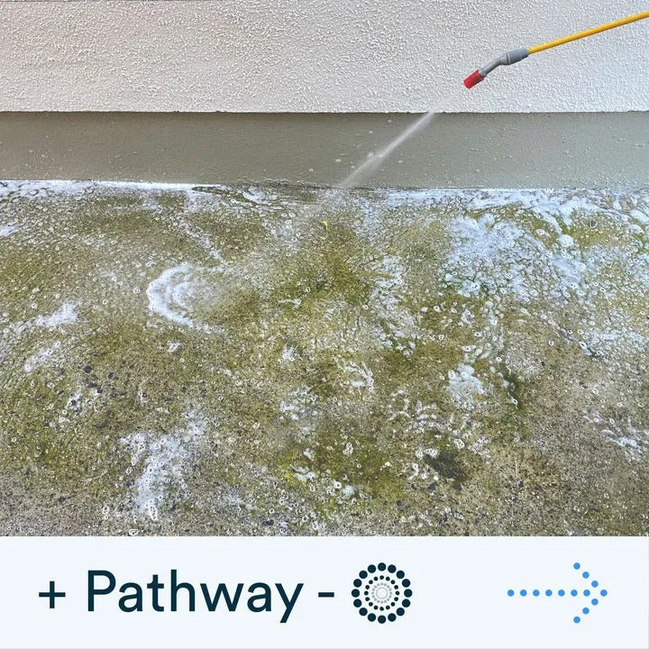 Actiwash Domestic 5L - Image 3