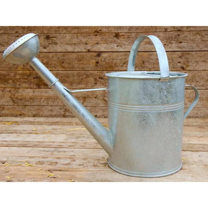 AquaPlus Galvanised Watering Can - 9L