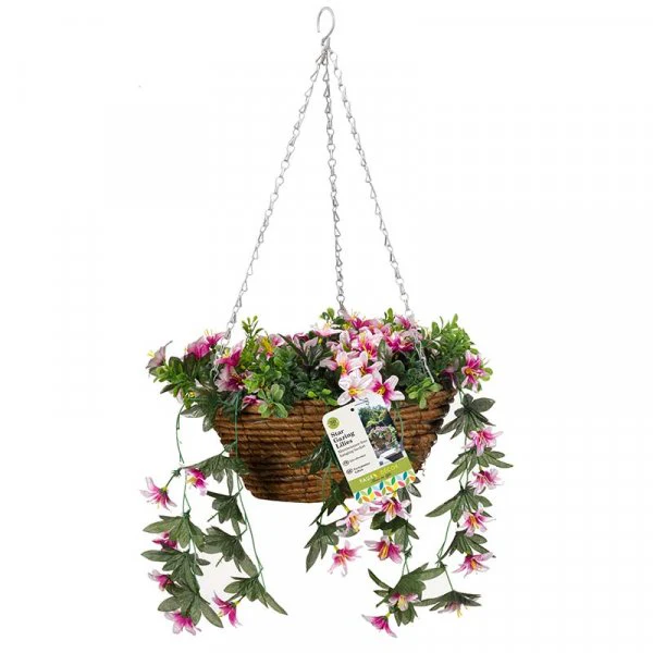 Easy Baskets - Star Gazing Lilies