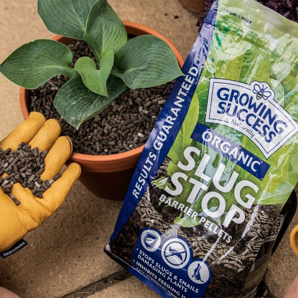 Growing Success Organic Slug Stop Pellets 2.25kg - Image 4