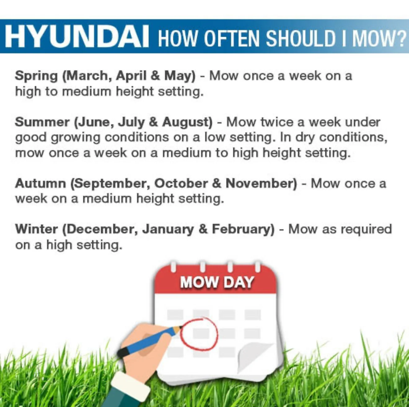 Hyundai 17" Self Propelled Lawnmower 139cc - Image 15