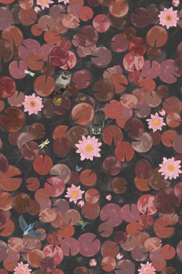 Lily Pads - Adventurer