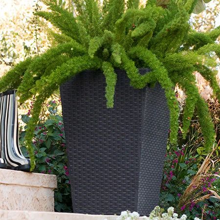 Medium Rattan Planter