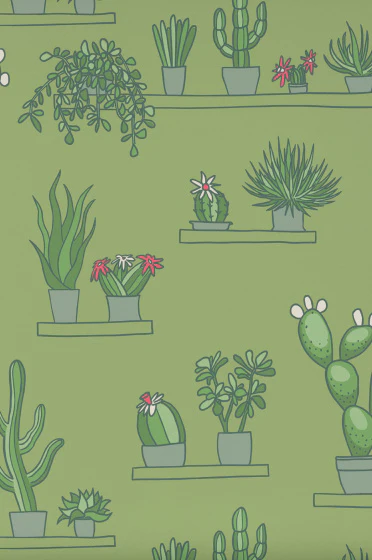 Mr Straw's Greenhouse - Garden