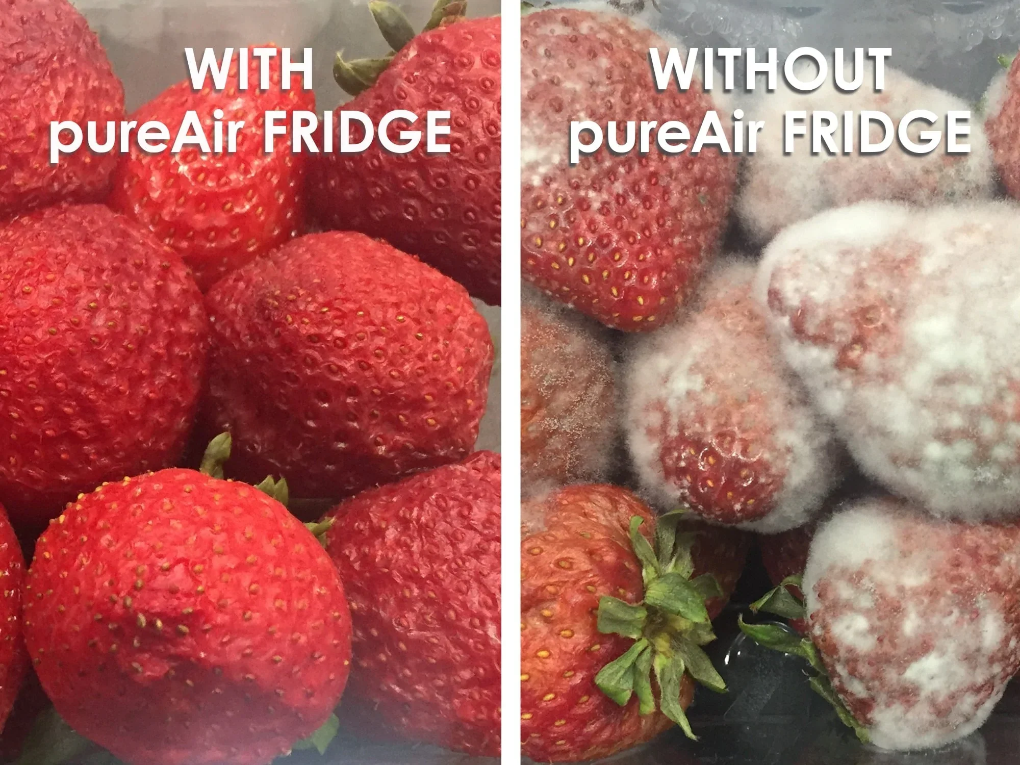 Pure Air Fridge Air Purifier - Image 6