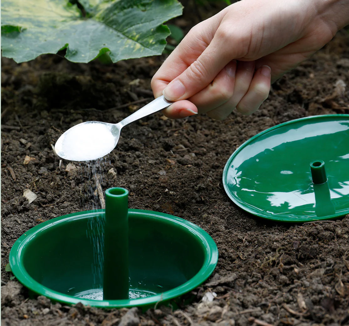 Slug and Snail Trap - Image 2