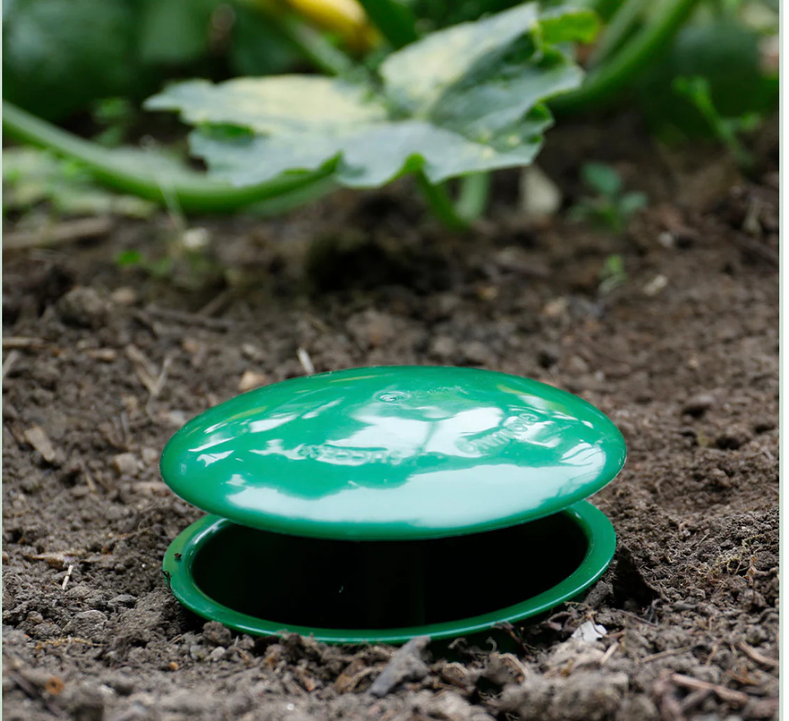 Slug and Snail Trap - Image 3