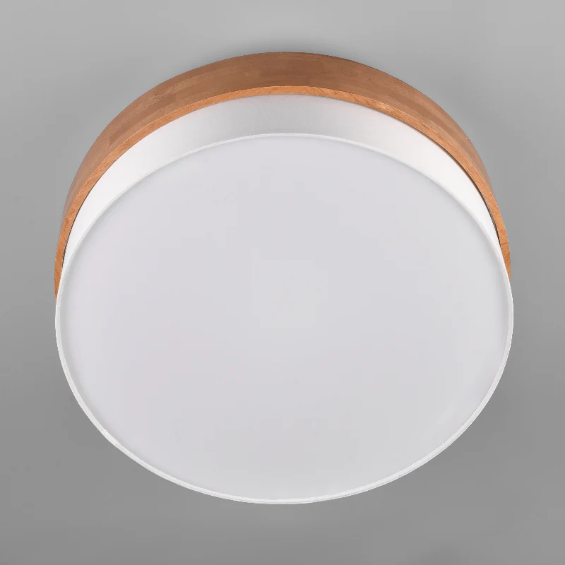 Trio Lighting Seasons Ceiling Light - Image 2