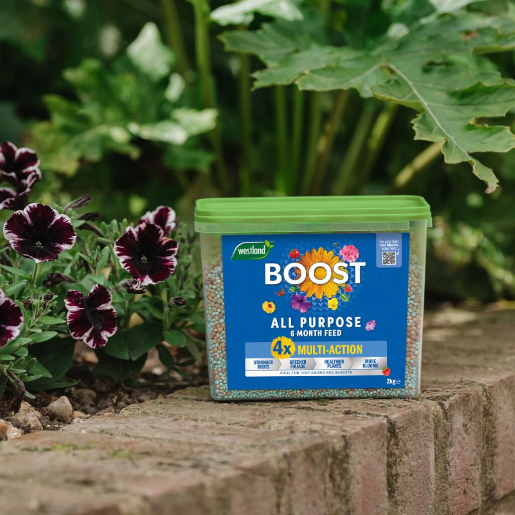 Westland Boost All Purpose Multi-Action Granules 2KG - Image 2