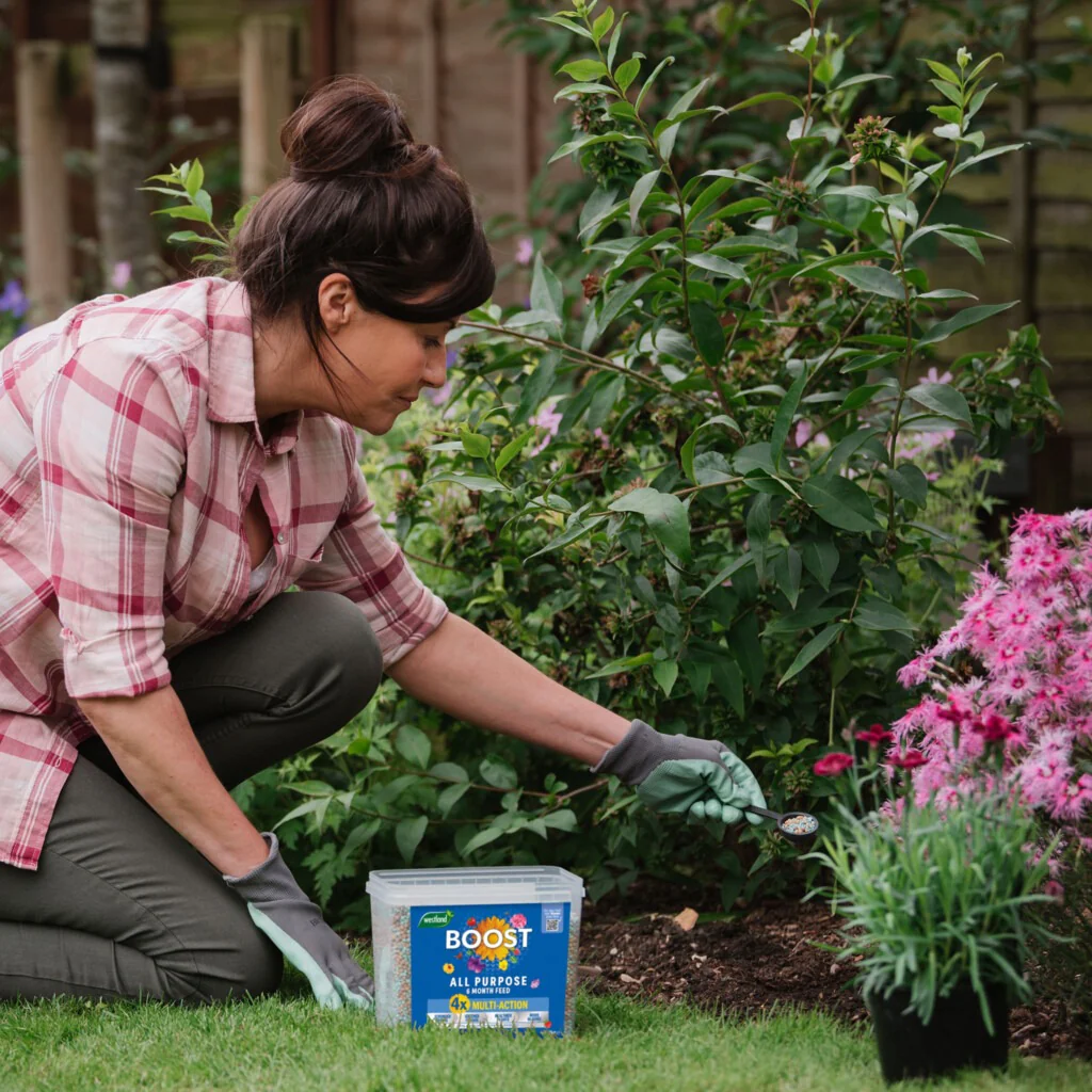 Westland Boost All Purpose Multi-Action Granules 2KG - Image 4